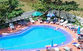 Palmarinha De Goa